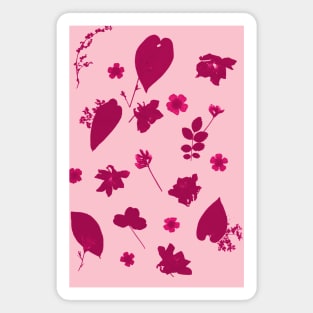 Pink Floral Pressed Flower and Leaf Pattern Magnet